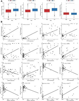 Identification of a tissue resident memory CD8 T cell-related risk score signature for colorectal cancer, the association with TME landscapes and therapeutic responses